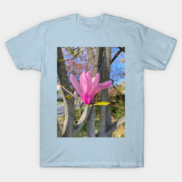 Tulip Tree T-Shirt by Amanda1775